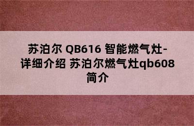 SUPOR/苏泊尔 QB616 智能燃气灶-详细介绍 苏泊尔燃气灶qb608简介